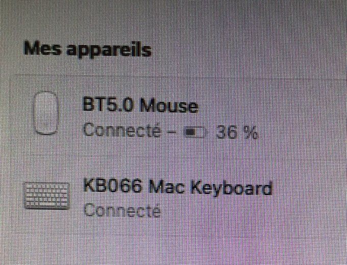 APPLE Mac mini I5 8Go 256 SSD HDMI wifi Bluetooth sous MacOs Monterey souris /claviers sans fil neuf