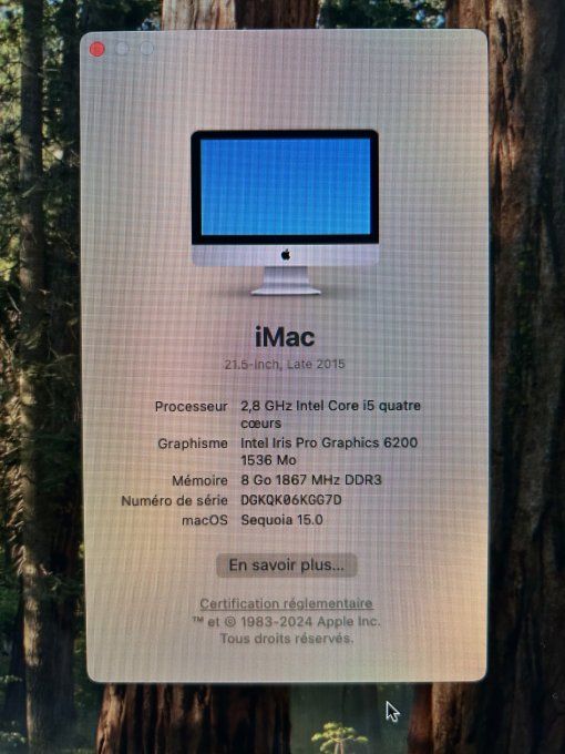 Apple iMac 21,5 pouces i5 256Go SSD 8Go 